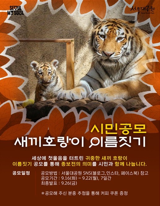 서울대공원, '새끼호랑이탄생&...