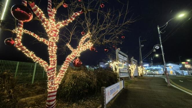 보령시, 내년 2월 말까지 시가지 야...