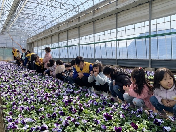 울산시농업기술센터, 2026년 초화양...