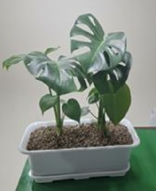 대구 서구, 쾌적한 실내 주거 환경 ...